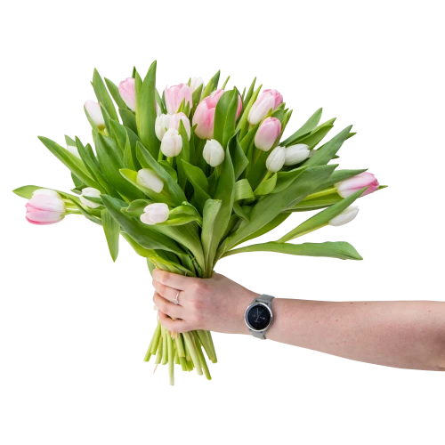 Kytice tulipánů